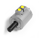 Schwenkmotor E1